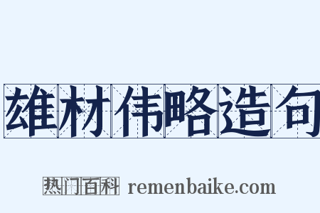 雄材伟略造句是什么意思的图片